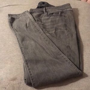 Venezia plus size pants